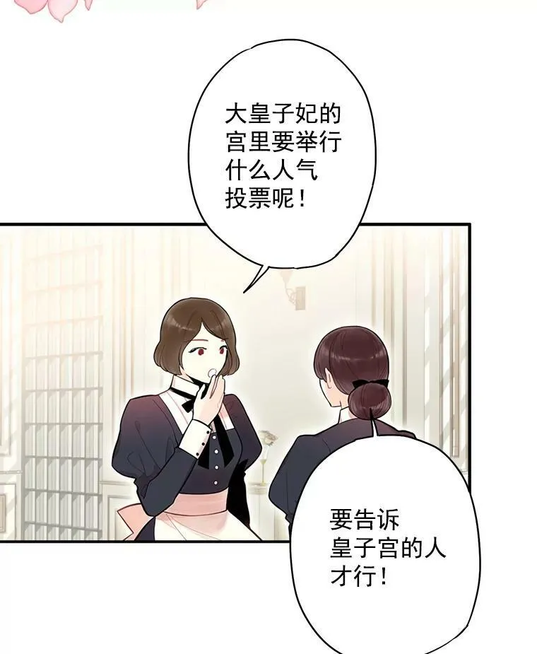 55.人气投票 第3页