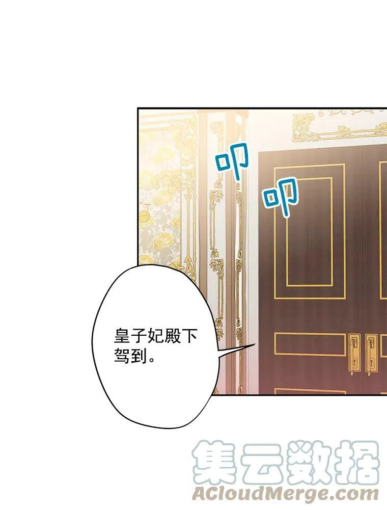 55.人气投票 第61页