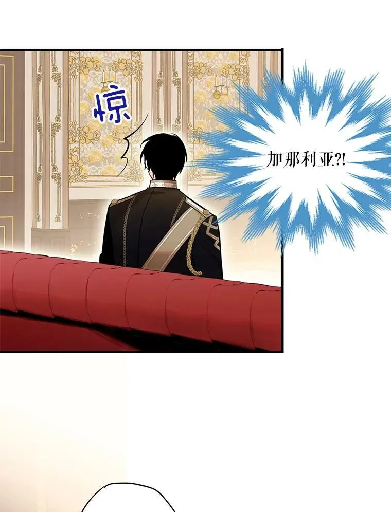 55.人气投票 第62页