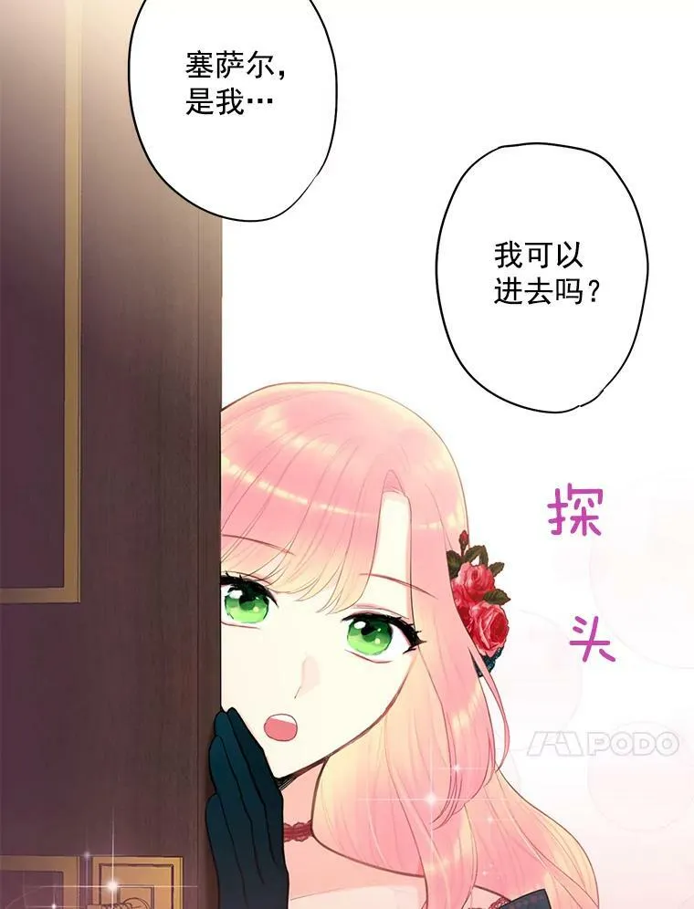 55.人气投票 第63页