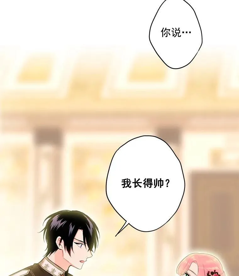 55.人气投票 第75页