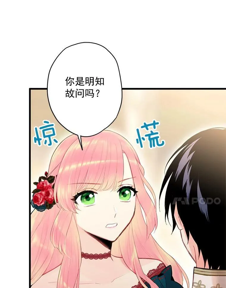 55.人气投票 第77页