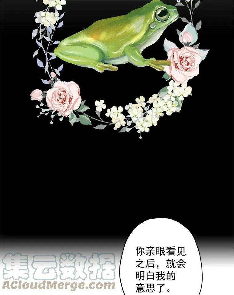 56.招蜂引蝶 第13页