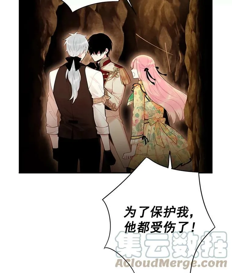 59.布林吉克 第13页