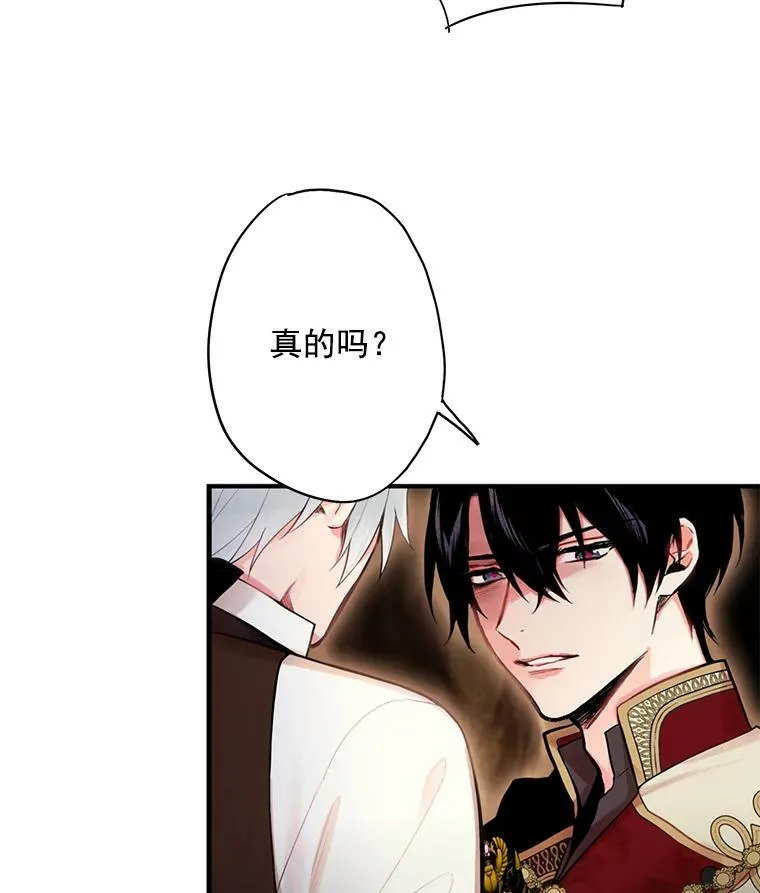 59.布林吉克 第14页