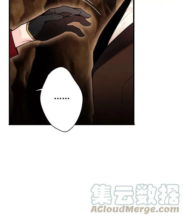 59.布林吉克 第16页