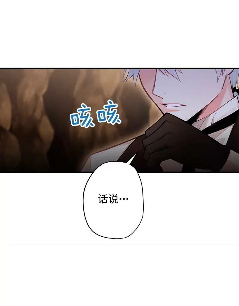 59.布林吉克 第17页