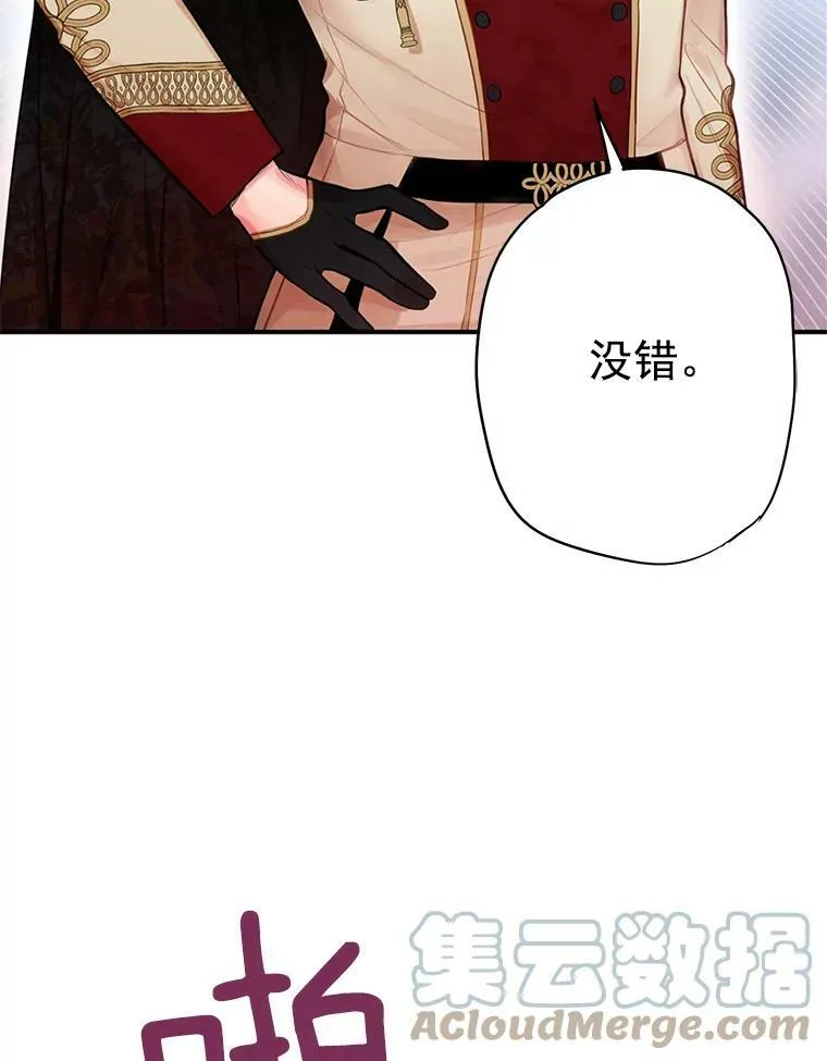 59.布林吉克 第19页