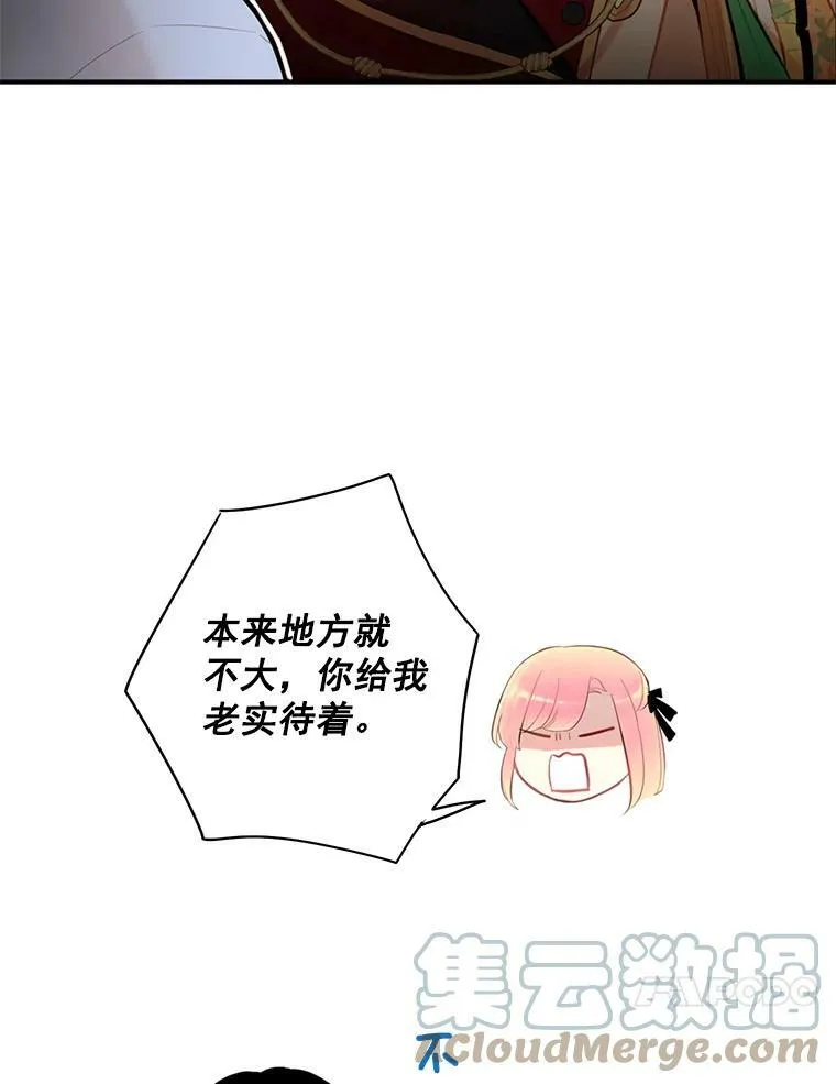59.布林吉克 第28页