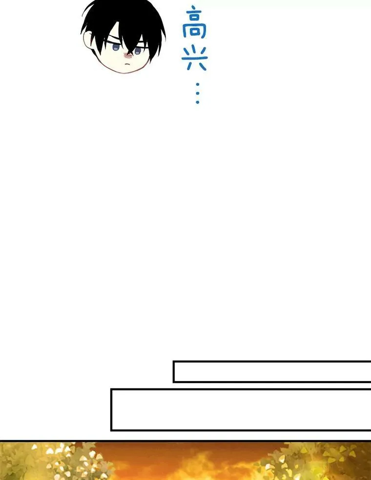 59.布林吉克 第29页