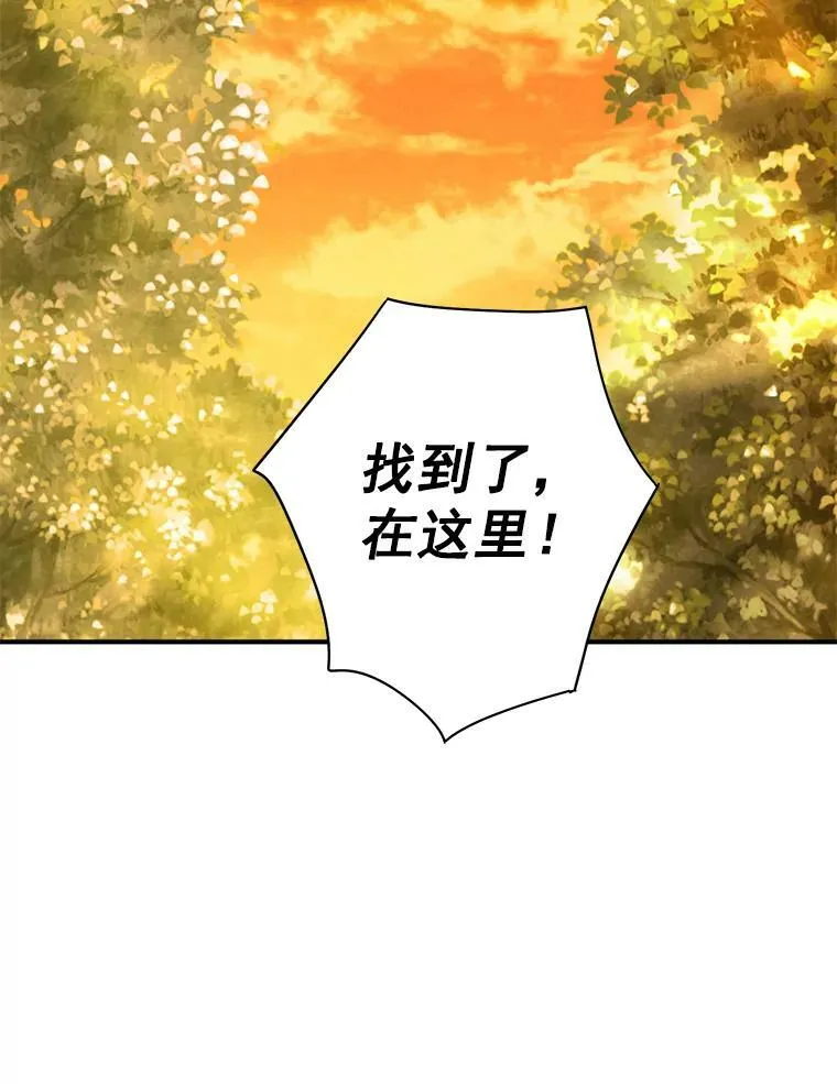 59.布林吉克 第30页