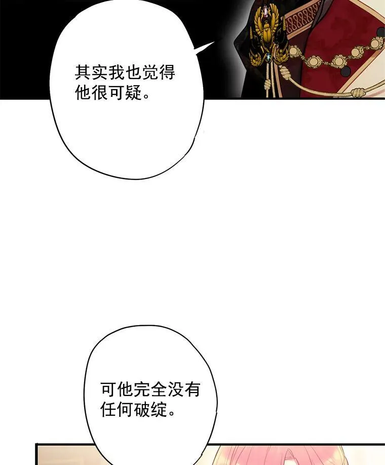 59.布林吉克 第41页