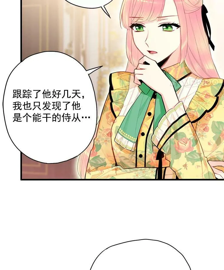 59.布林吉克 第42页