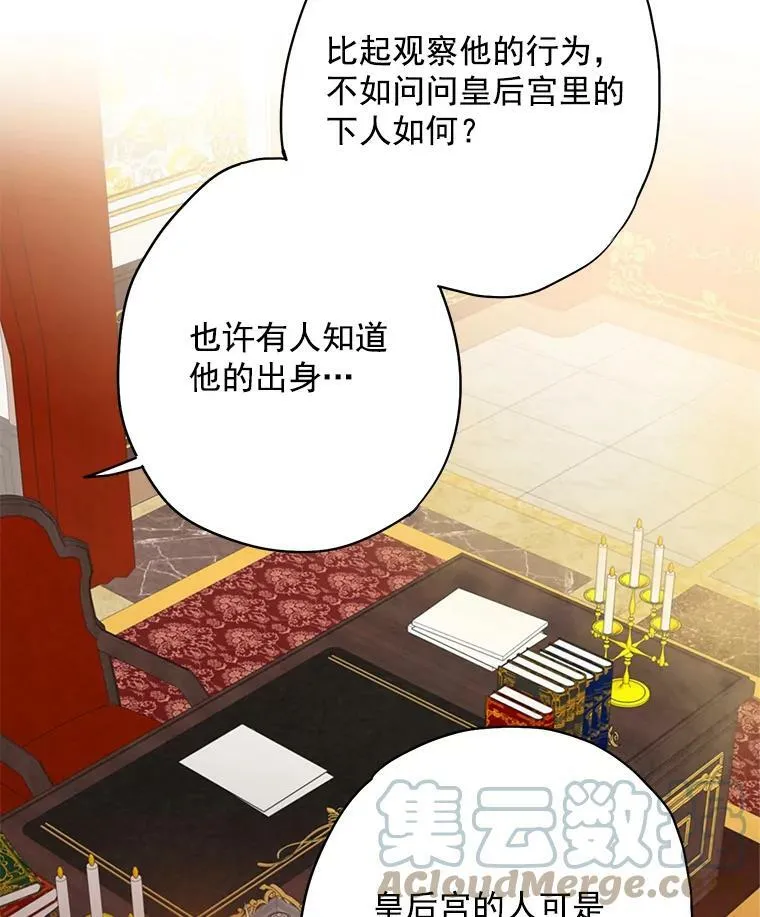 59.布林吉克 第43页