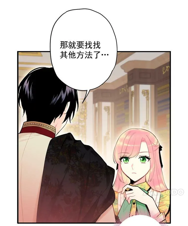 59.布林吉克 第45页