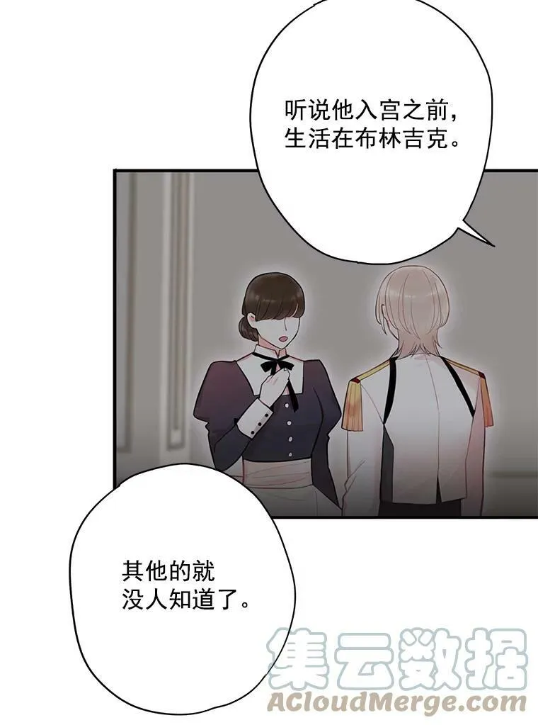 59.布林吉克 第55页