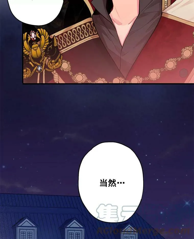 59.布林吉克 第64页