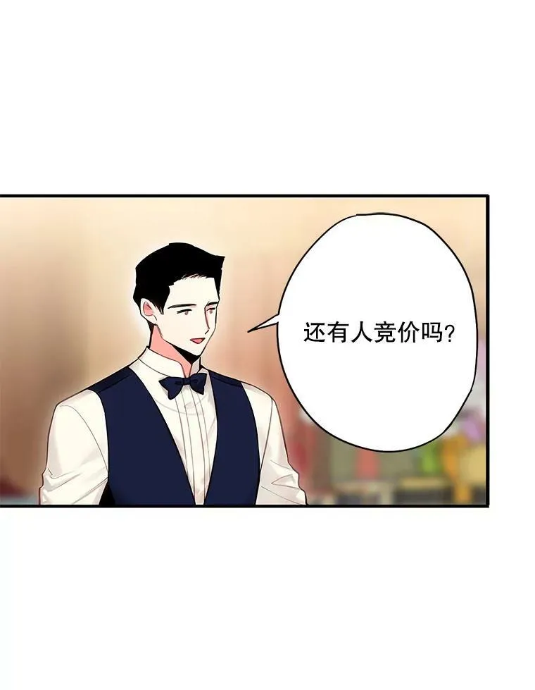 105.拍卖会 第15页