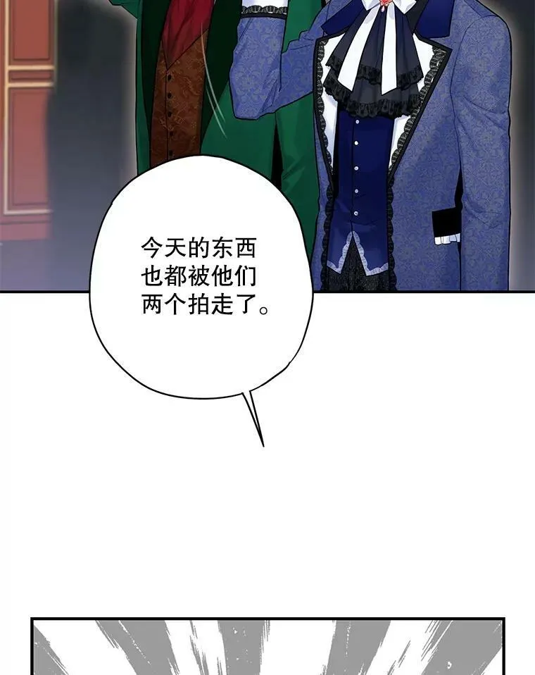 105.拍卖会 第86页