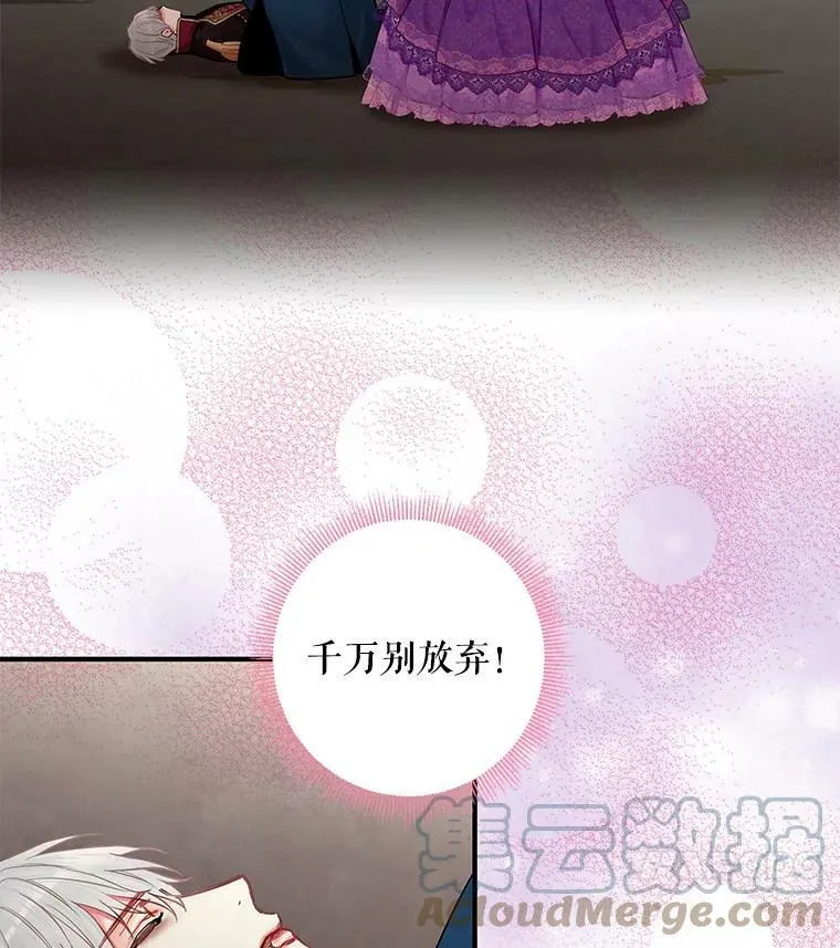 114.完美的结局 第17页