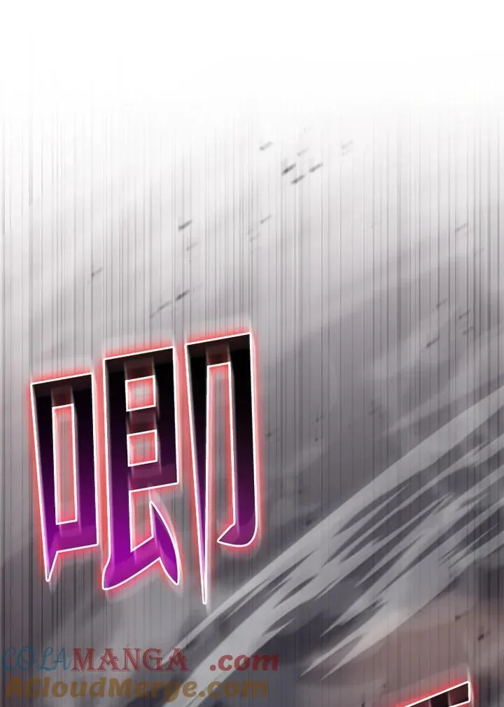 第133话 第29页