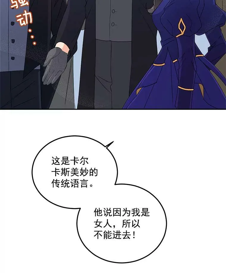 15.遭遇阻拦 第54页