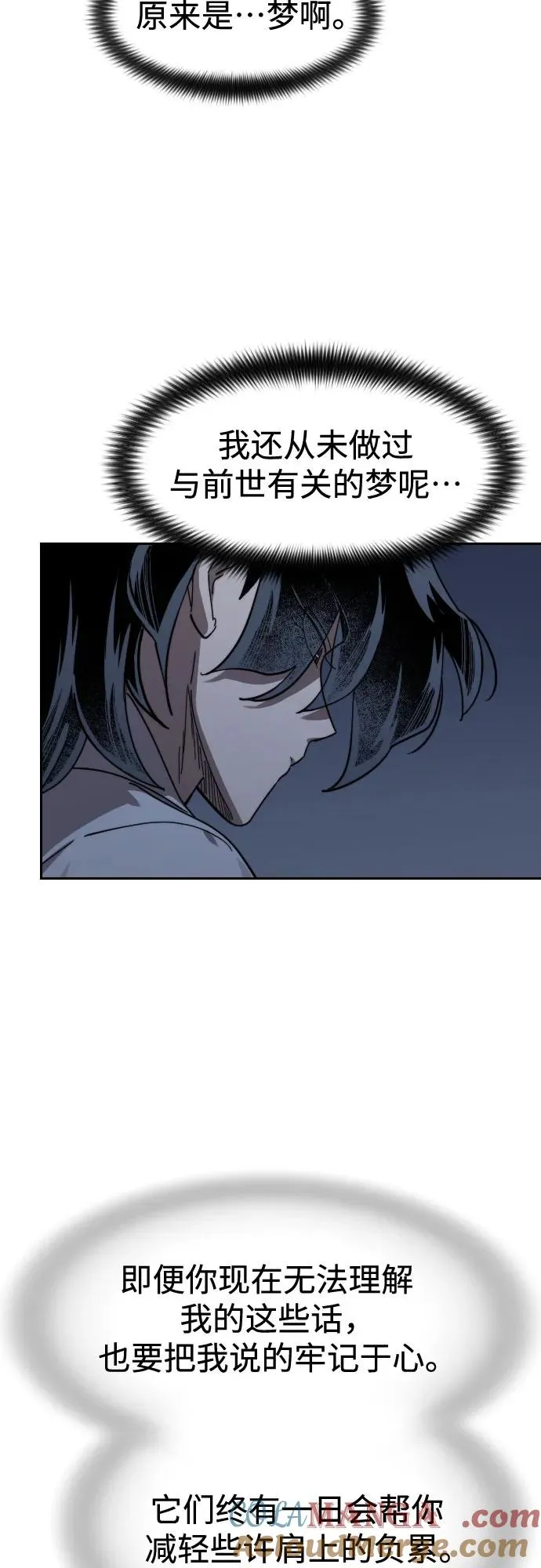 第111话 第29页