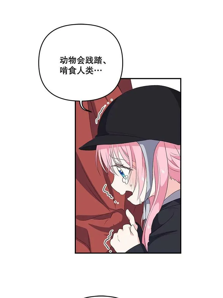 11.户外授课（2） 第63页