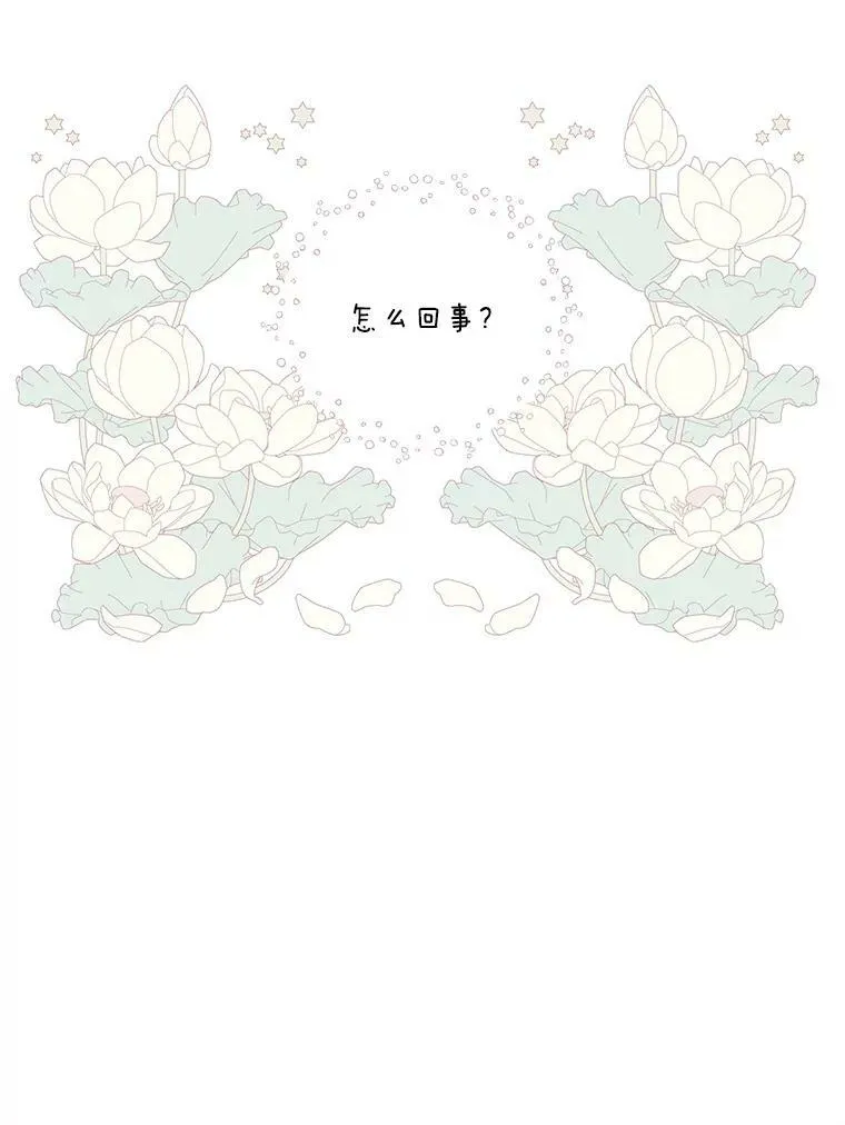 75.雷哈斯归来 第80页