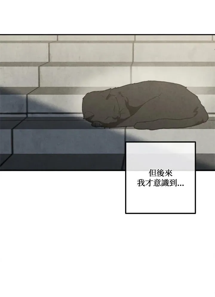 第110话 第71页