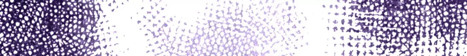 第19话下 我要更多的头 第55页