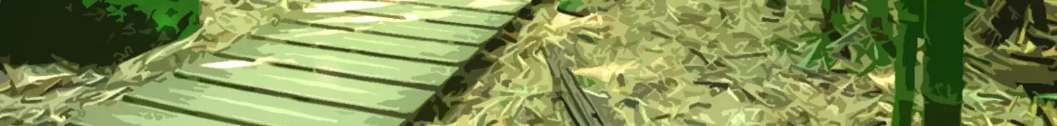 第30话下 伐筋洗髓 第45页