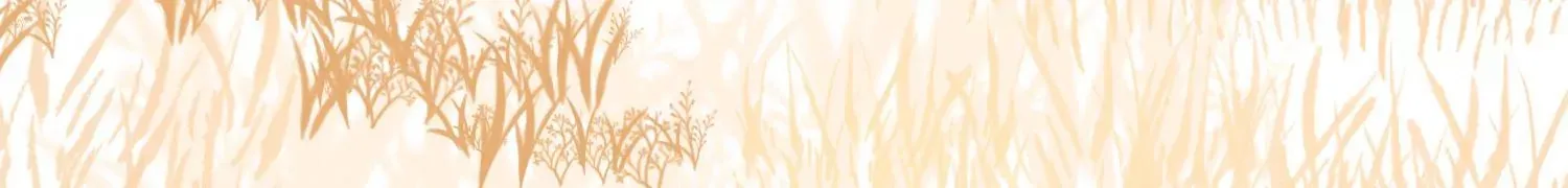 第41话上 实现心愿！ 第70页
