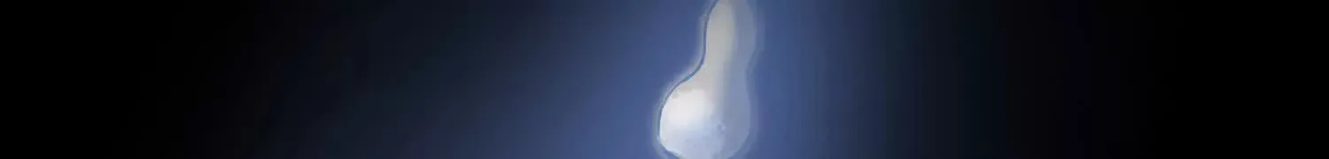 第55话上 千影化一 第9页