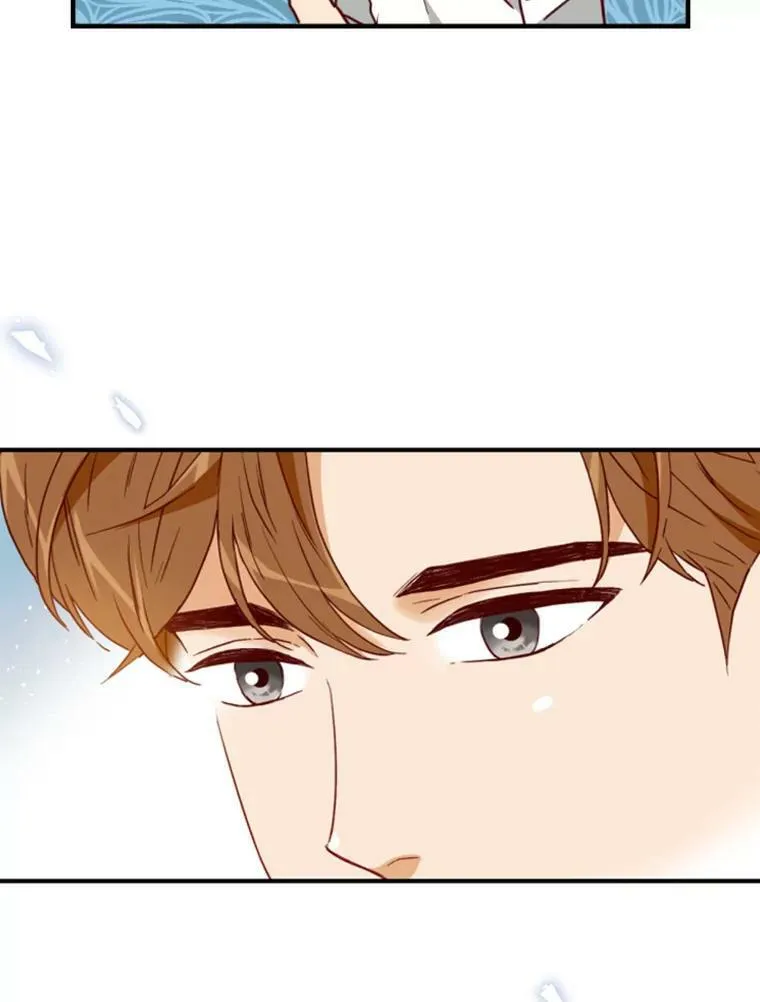 81.无法移开的视线 第71页