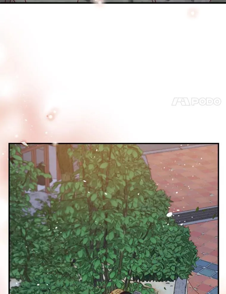 155.不婚主义？ 第41页