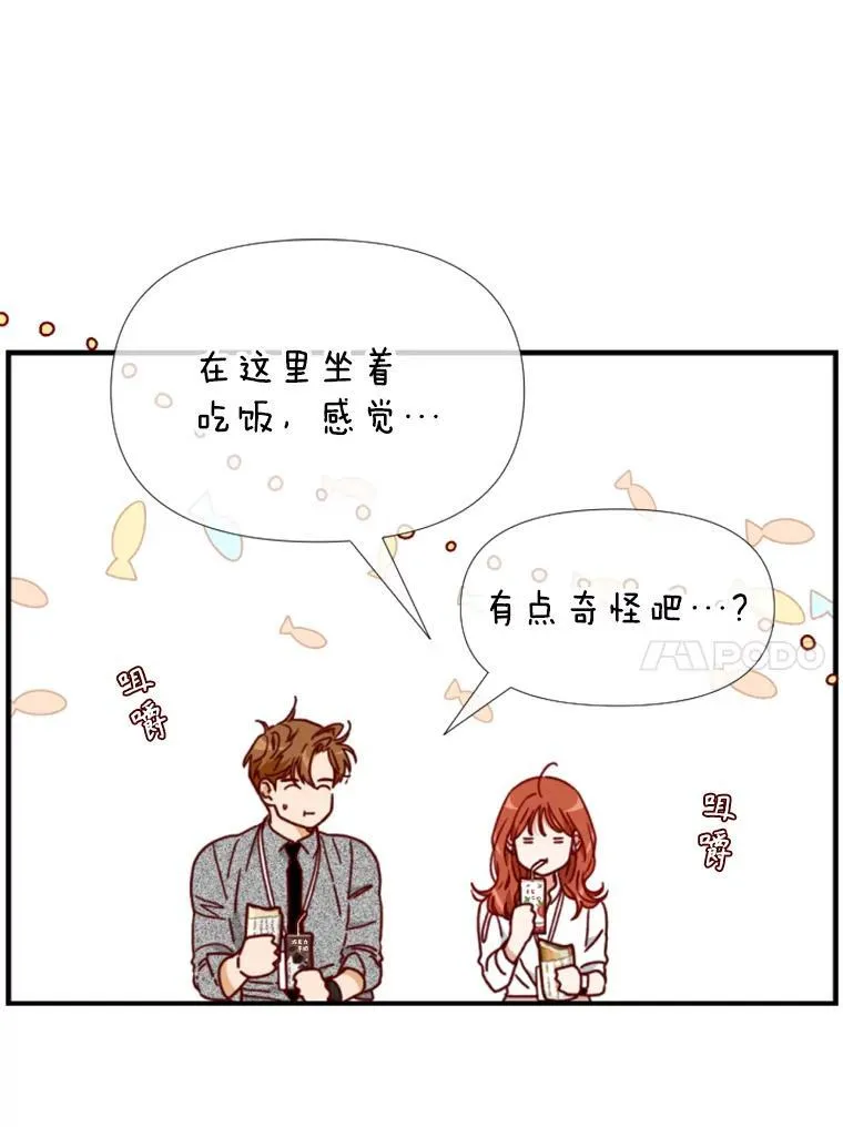 156.最后一天 第35页