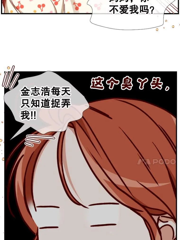 175.选择（本季完） 第24页