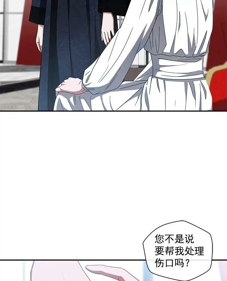 7.与皇帝的会面 第29页