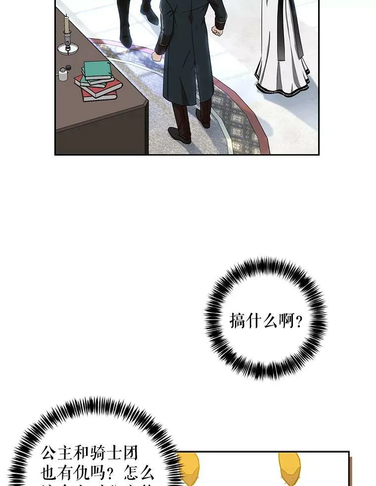 15.与骑士团的恩怨 第39页