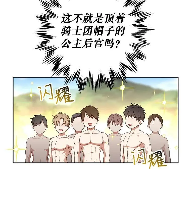 15.与骑士团的恩怨 第74页