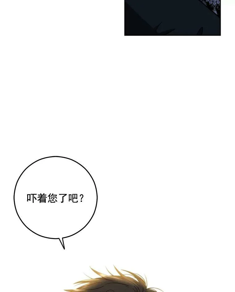 16.最年轻的副团长 第56页