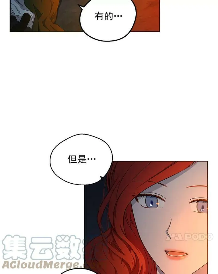 23.让人看不透的菲西斯 第52页