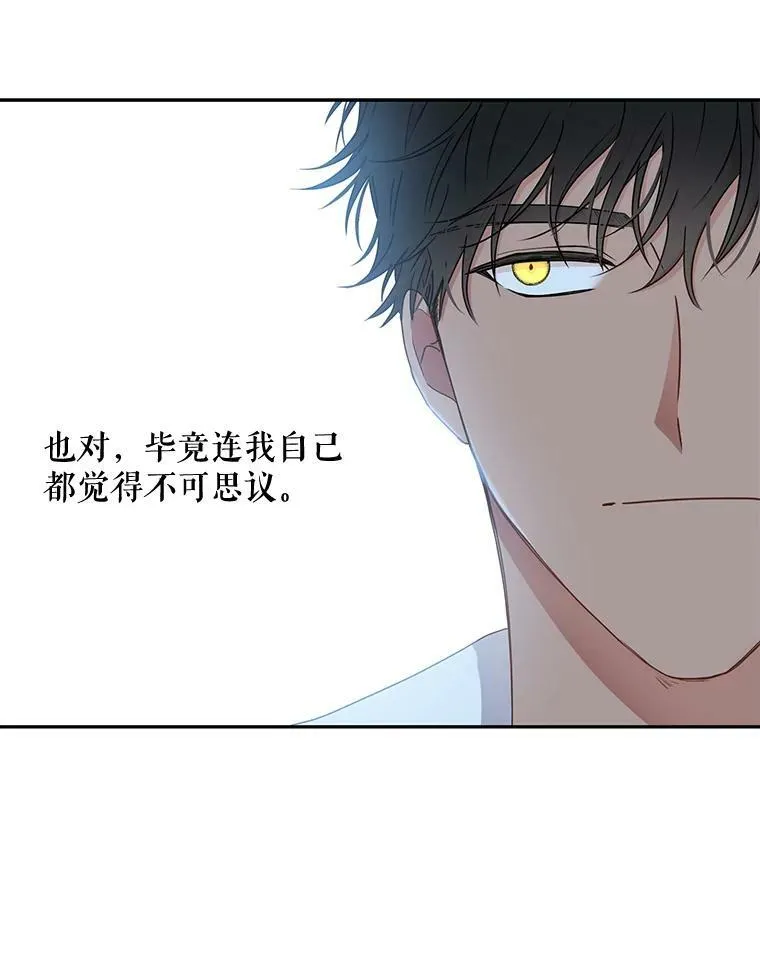 29.史格的去向 第36页