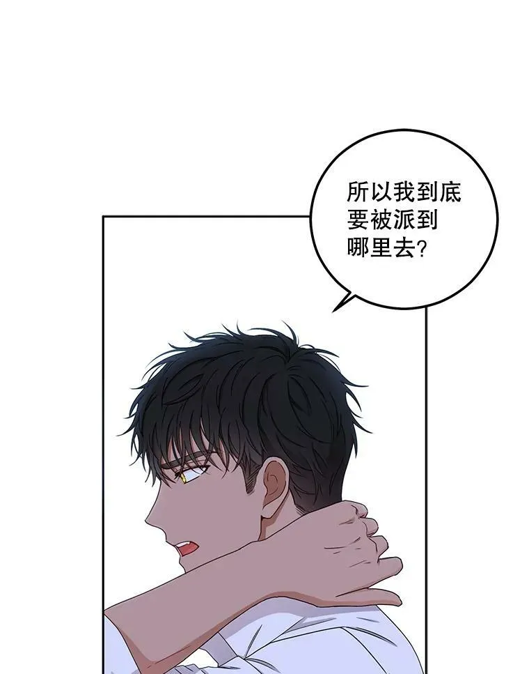 29.史格的去向 第63页