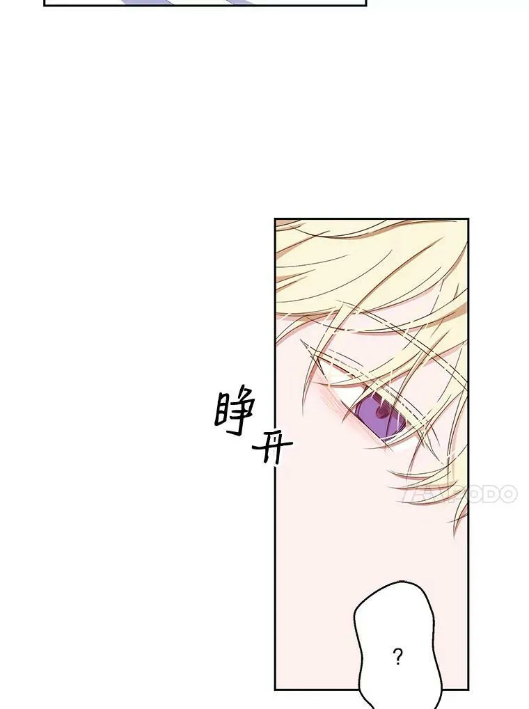 41.尤丽尔再次出现 第65页