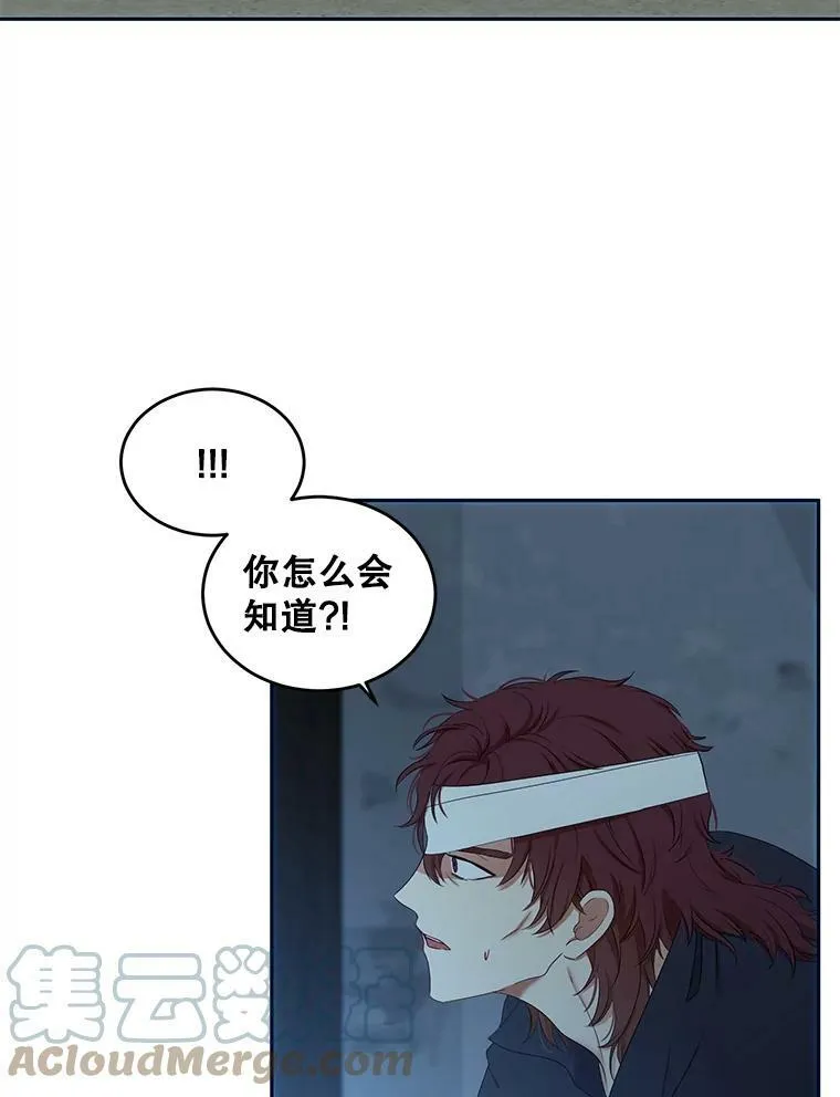 59.谋划 第37页