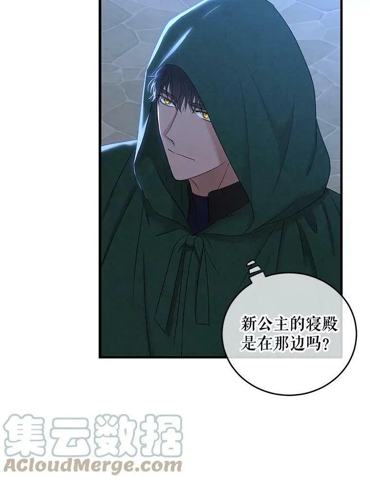 61.罗德尼卡的献身 第19页
