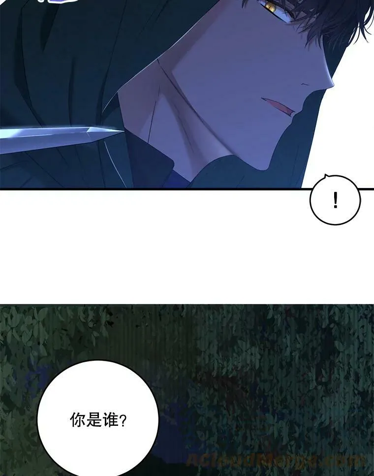 61.罗德尼卡的献身 第55页