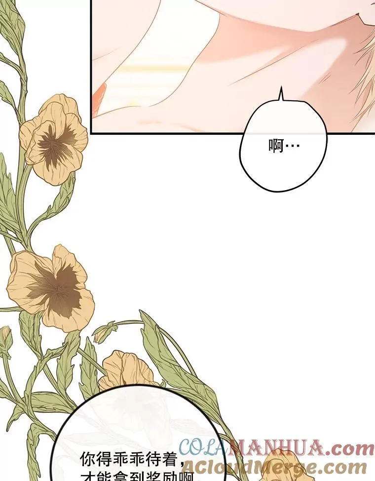 87.奖励 第16页